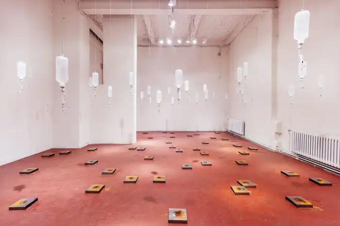 LRG 16-3