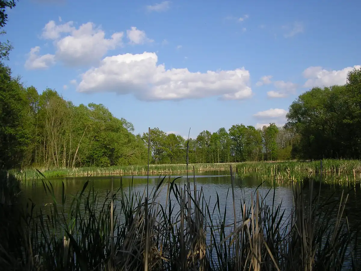 Foto1.JPG