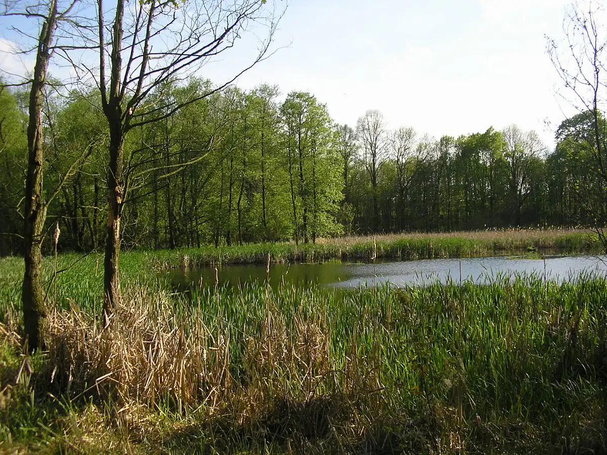 Foto2.JPG
