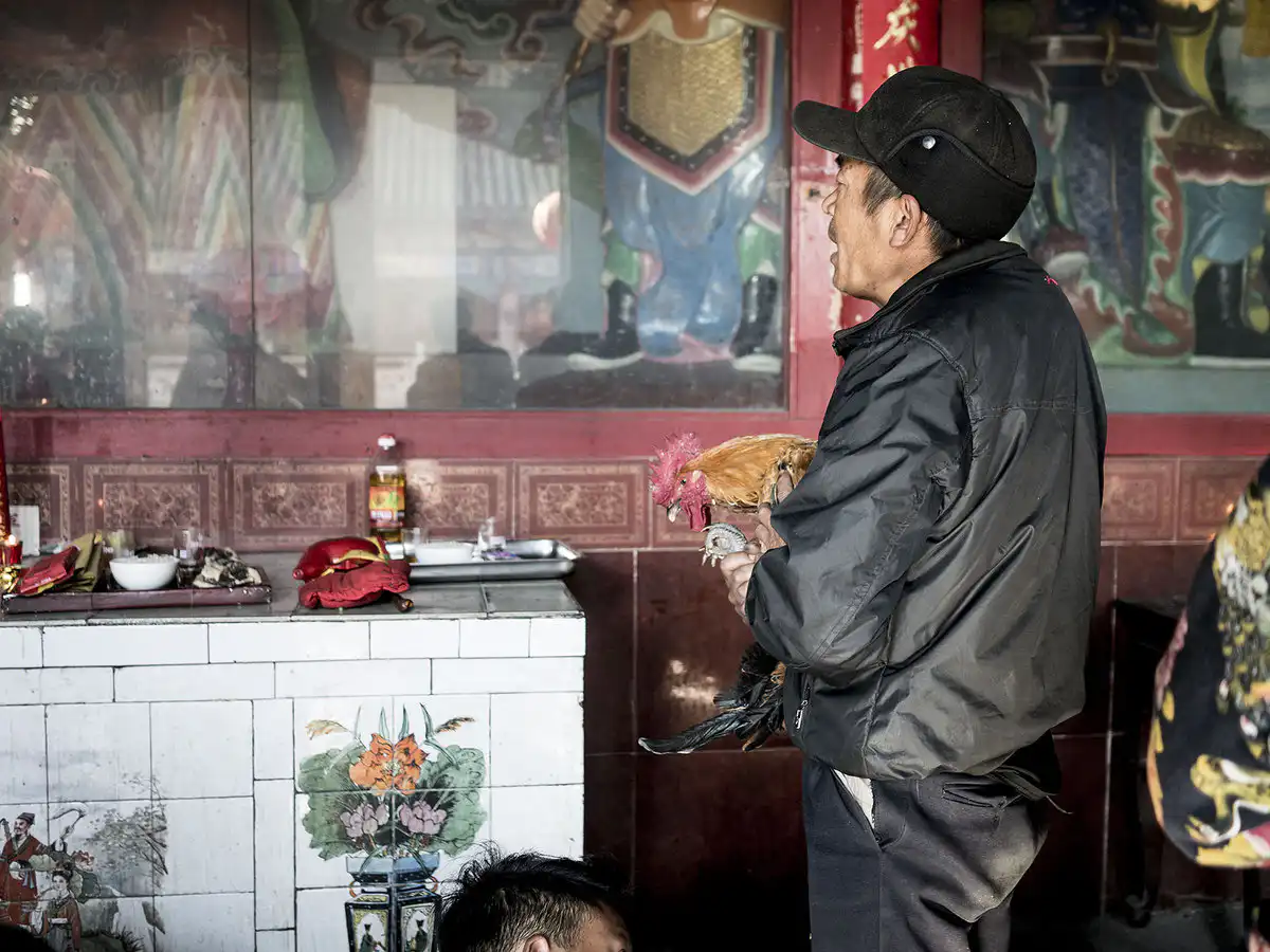 P1100775-yunnanyi.webp