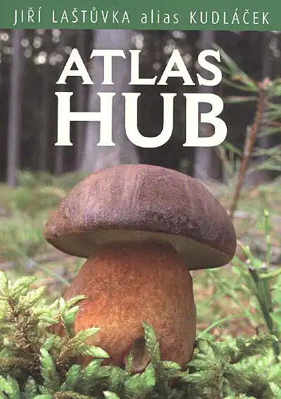 atlas hub.webp