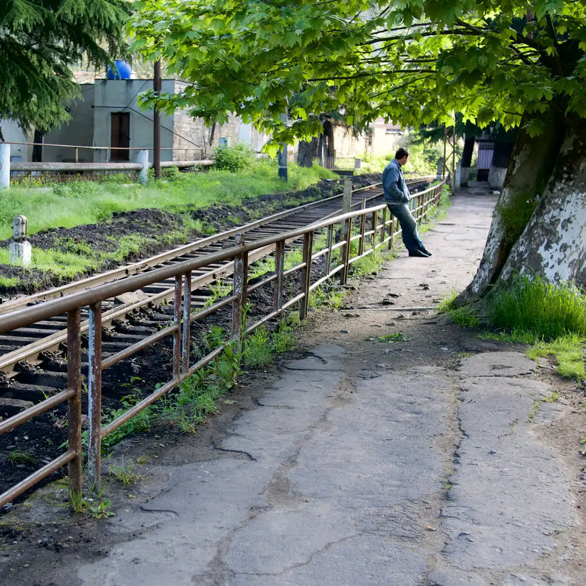 by the tracks.webp
