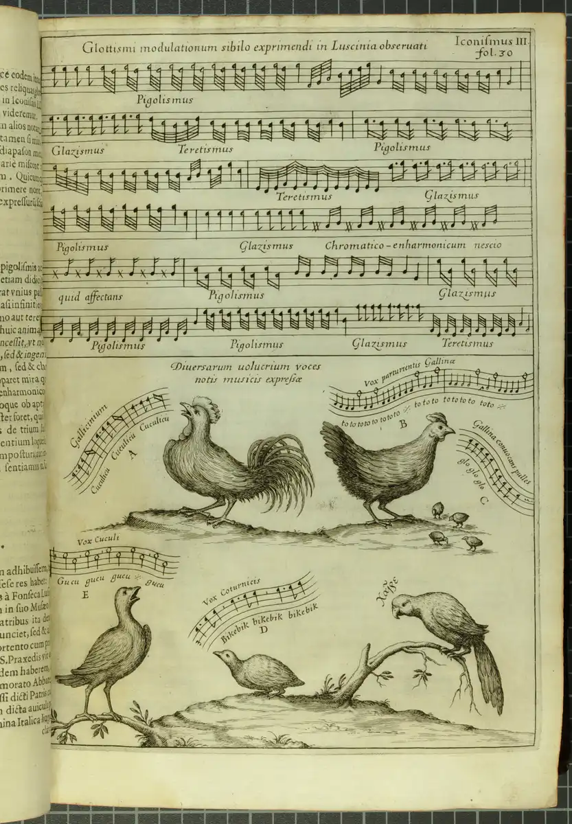 kircher-musurgia-bird-song.webp