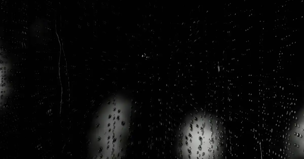 laurie-anderson-.webp