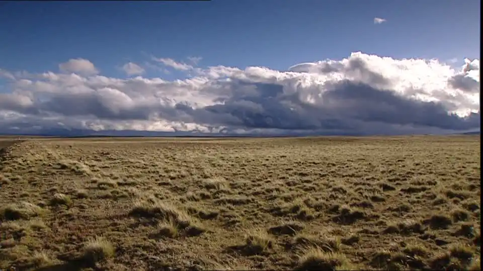 pampas-patagonia-steppe-lowlands.webp