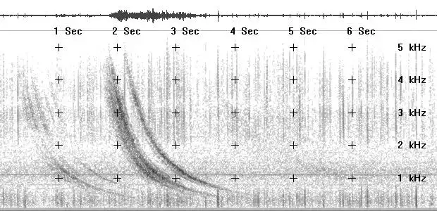 radio 4.webp