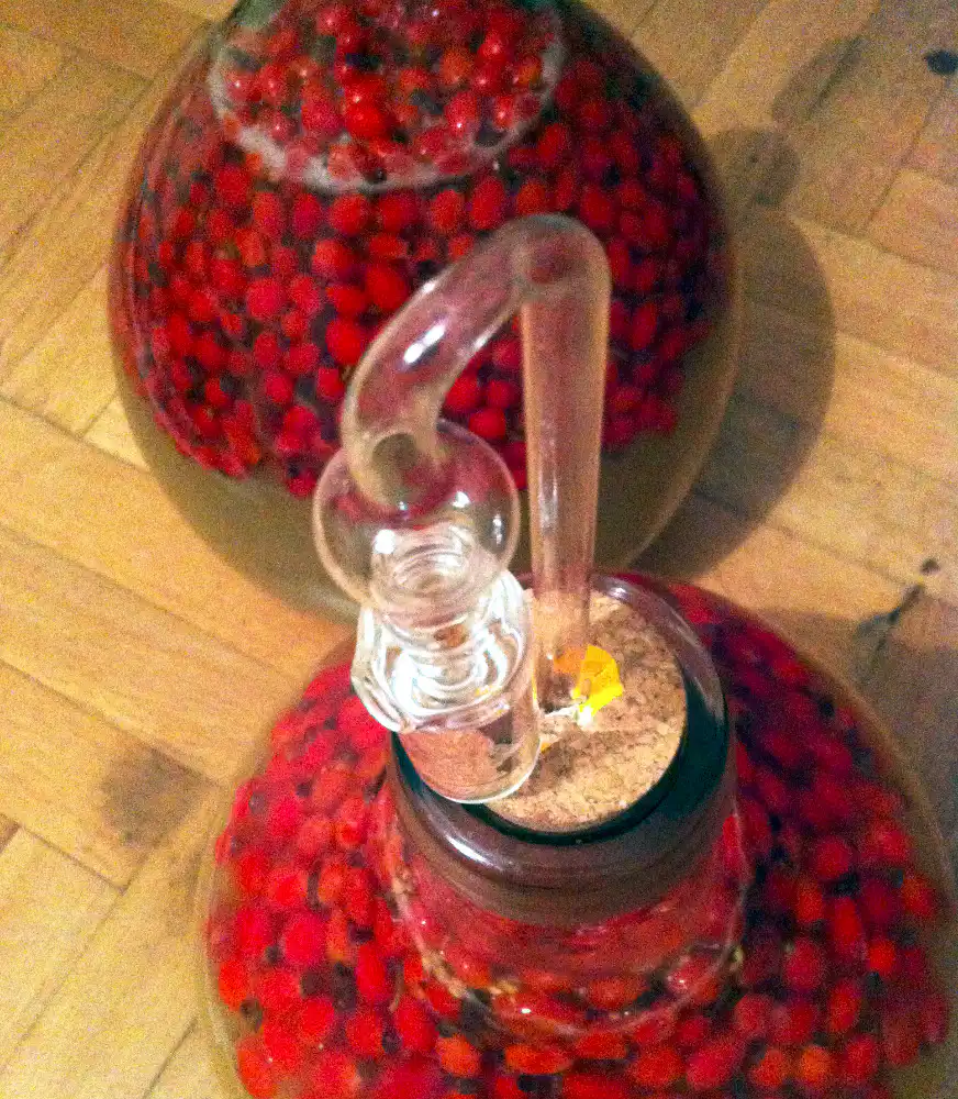 sipkove vino.webp