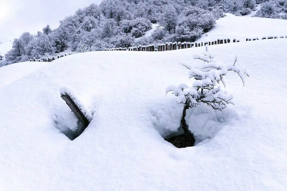snow-P1010858.webp