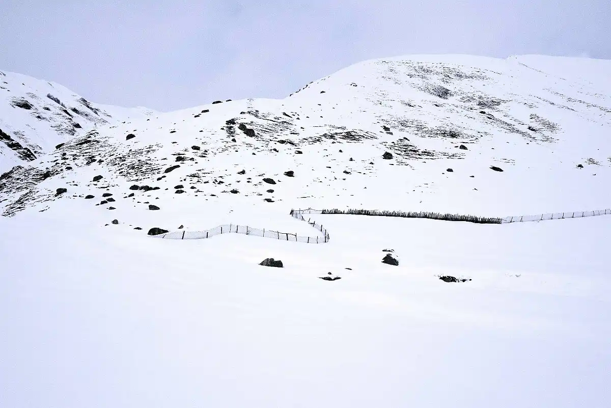 snow-P1010919.webp