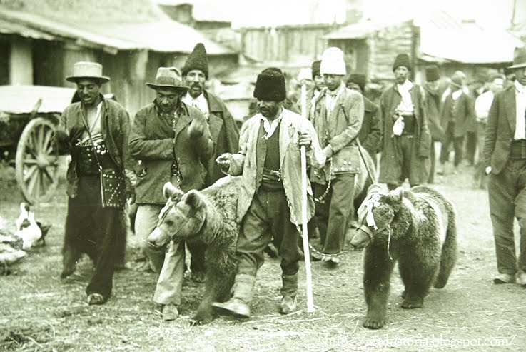 tigani-ursari2.jpg