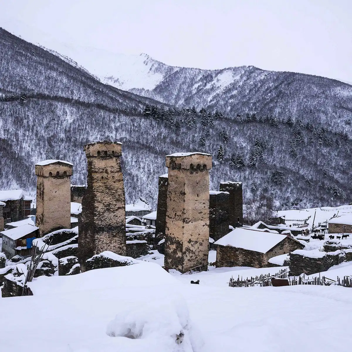 towers-P1010953.webp